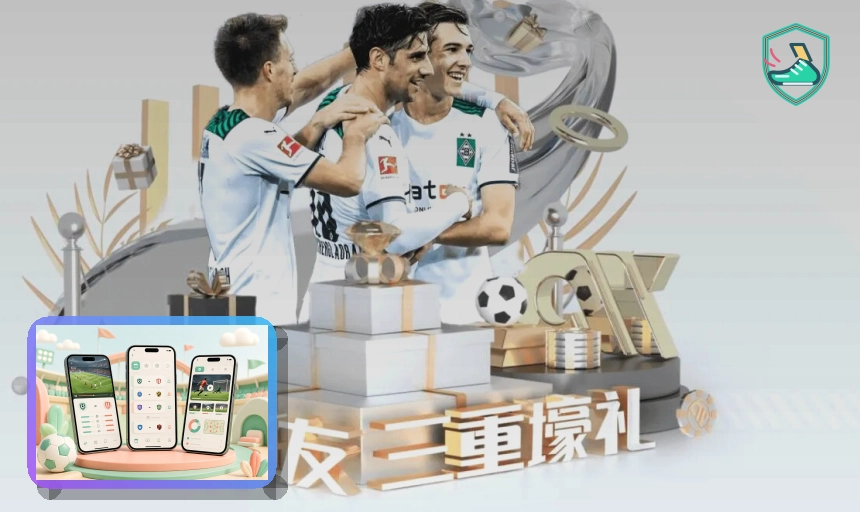 专业板球复盘